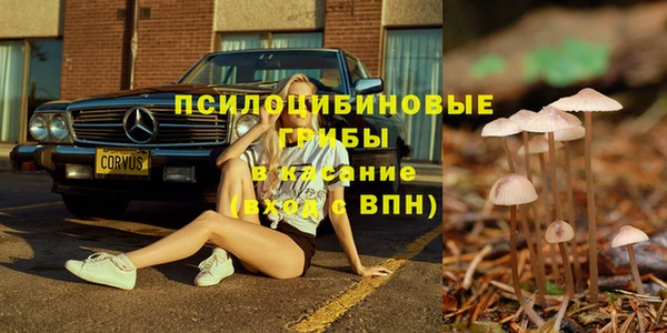 индика Навашино
