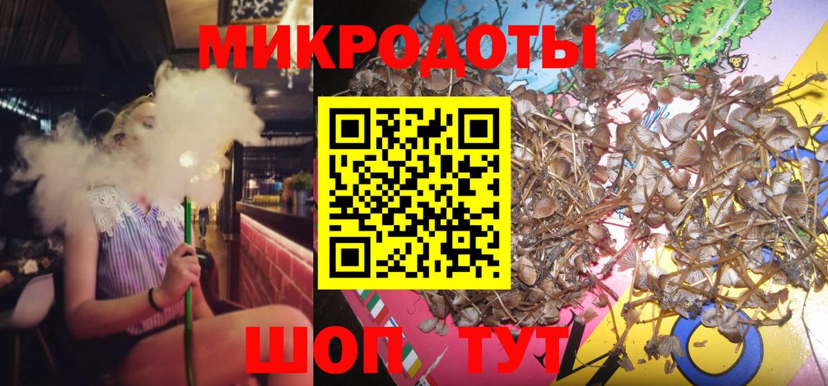 Мурино  Псилоцибиновые грибы Psilocybine cubensis  Вход с VPN 