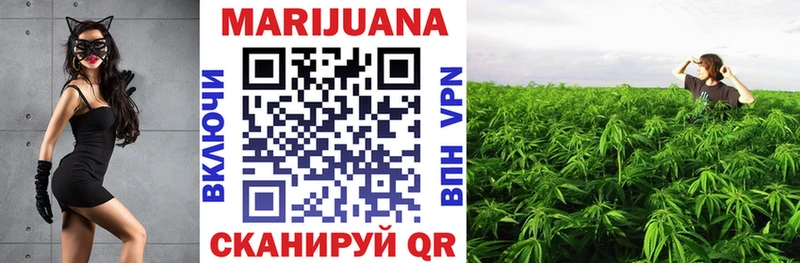 Канабис семена  blacksprut сайт  Мурино 