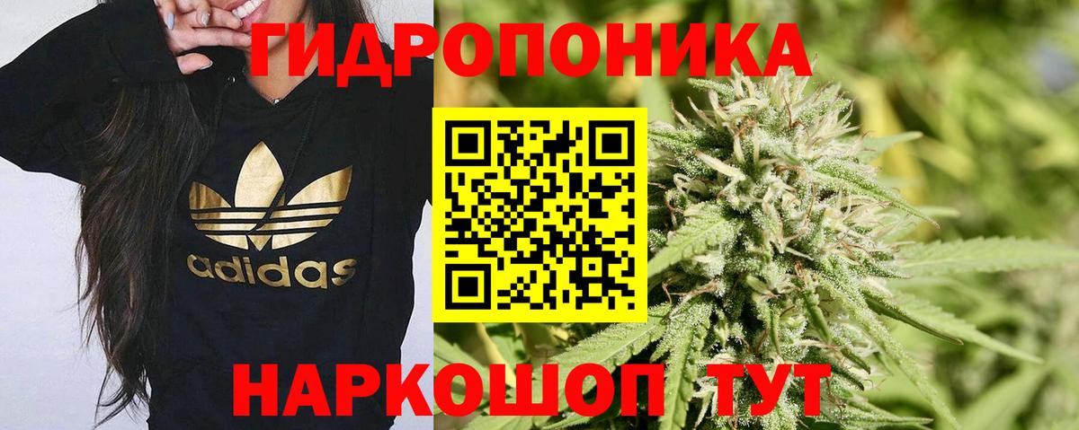 Конопля MAZAR Мурино
